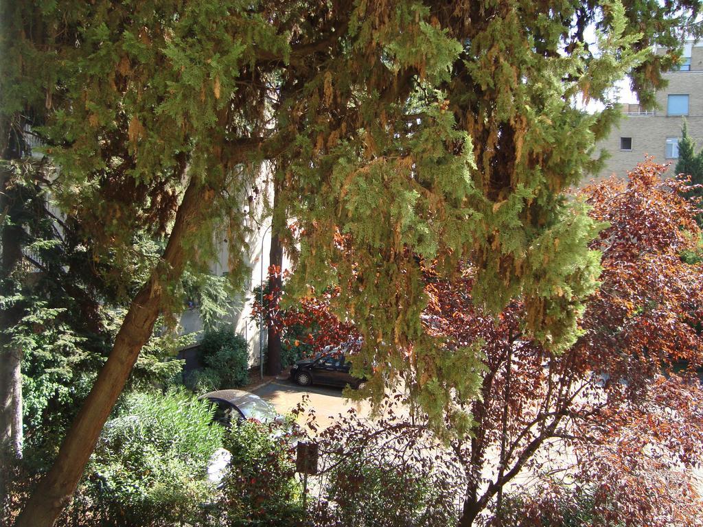 Villa Sciarra Roma Rom bilde
